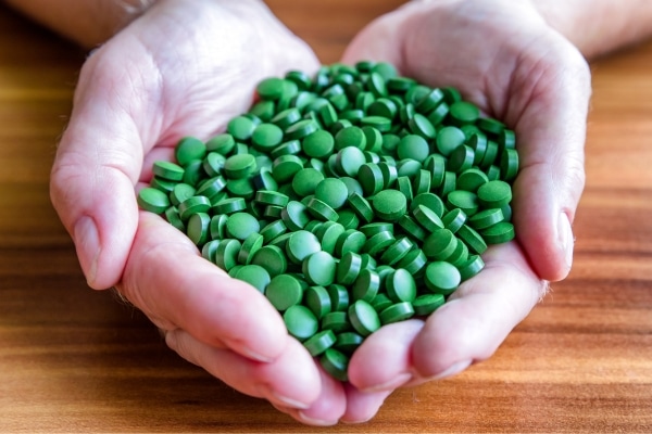 Chlorella