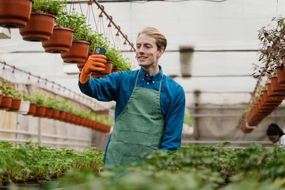 manipulación de plantas venenosas